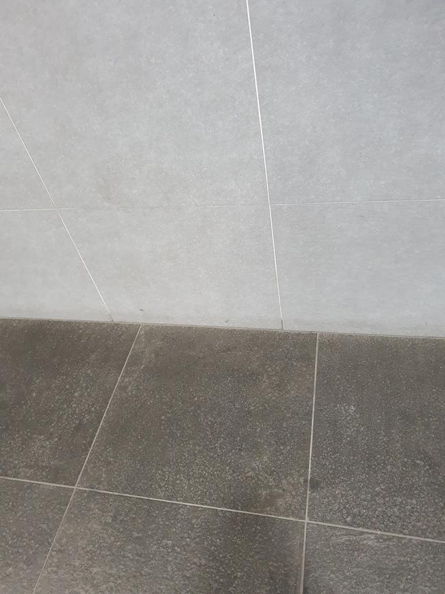 부여군 주방청소 전문업체, 스팅거클리닝의 맞춤형 서비스