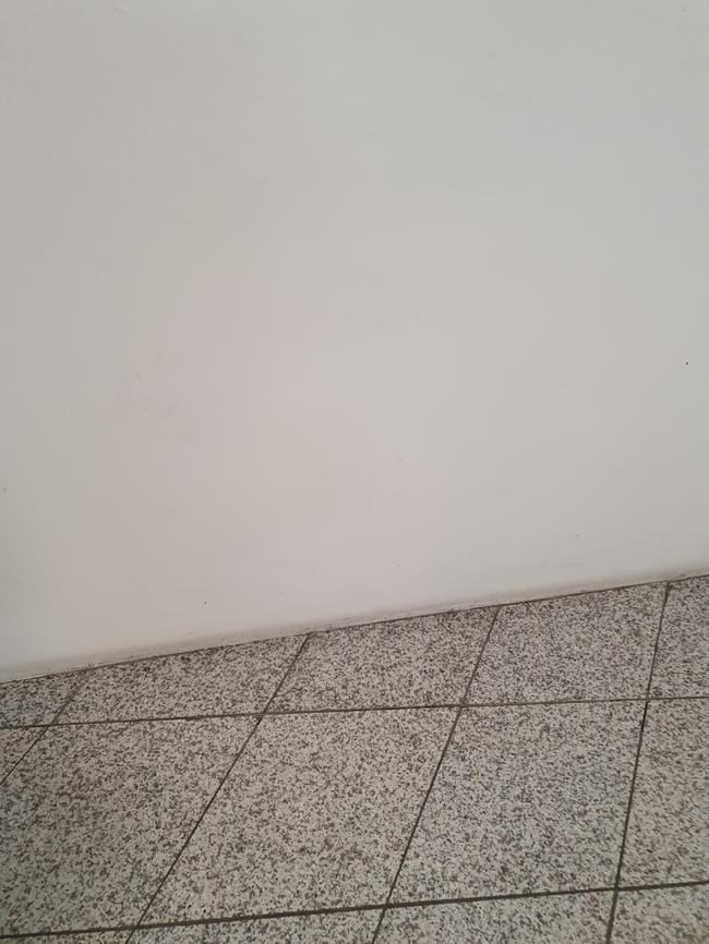 태백시 주거공간 대청소, 스팅거클리닝의 전문 서비스로 완벽 해결!