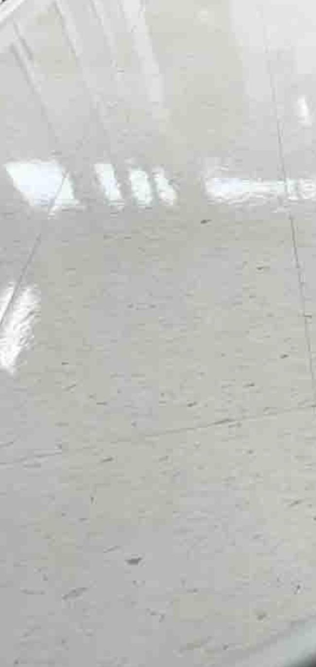 남양주에서 믿고 맡길 수 있는 스팀청소 전문업체, 스팅거클리닝