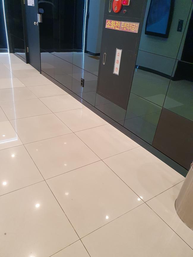 대전 유성구 반려동물청소 전문업체 스팅거클리닝의 맞춤형 서비스